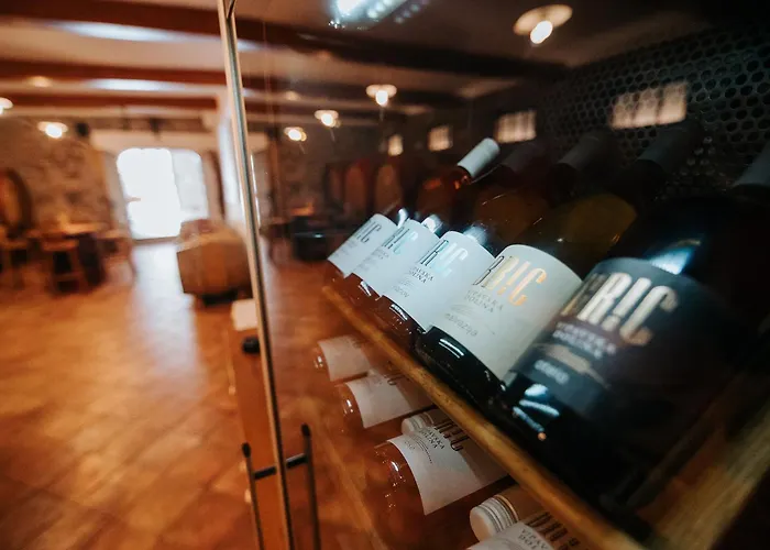 Bric Wine & Relax * Vogrsko