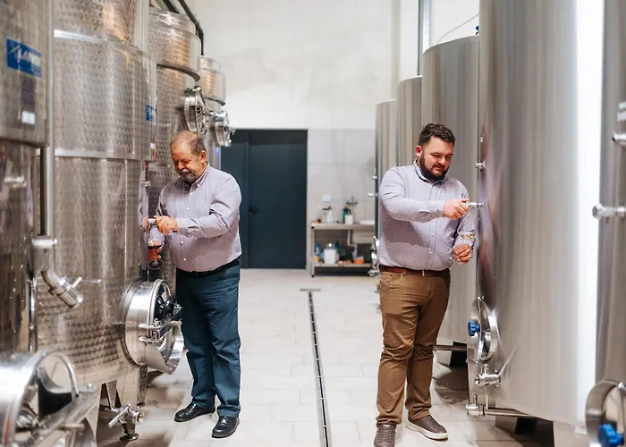 Bric Wine & Relax * Vogrsko